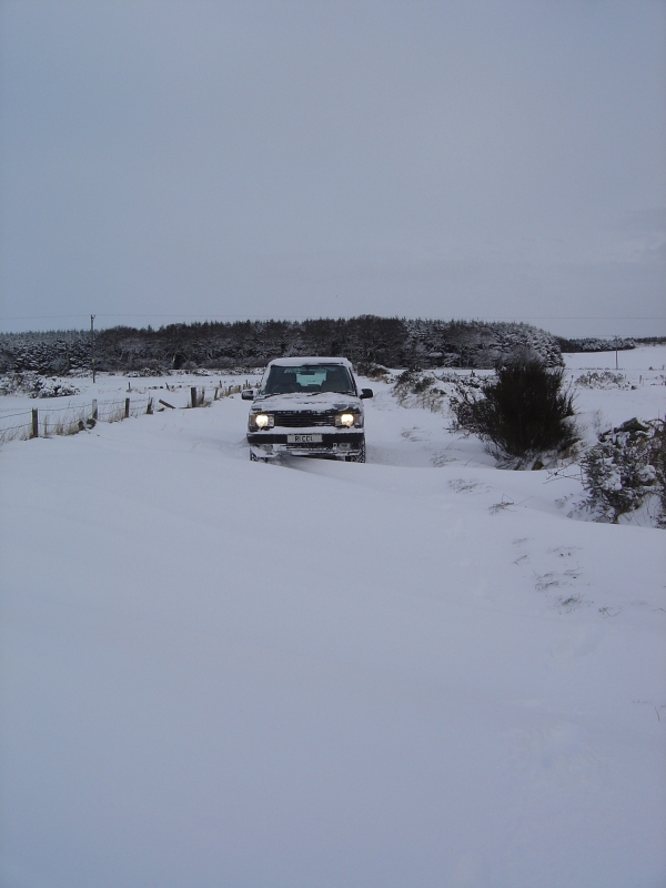 17th Dec 2010 004